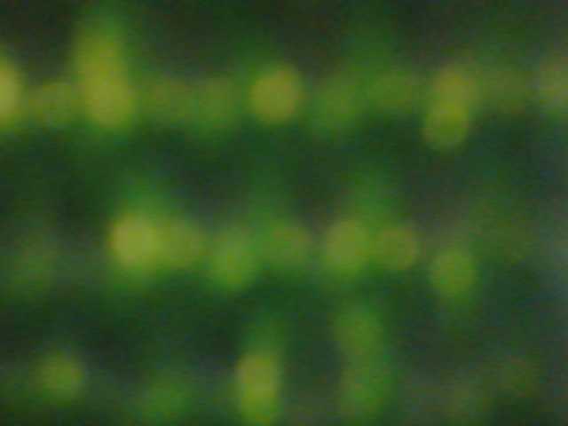 Tvoya_Matematichka5000 preview