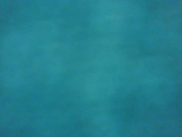 Natalya81 live cam on BongaCams