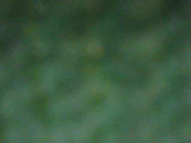 Zlaya_Mamochka_suka webcam