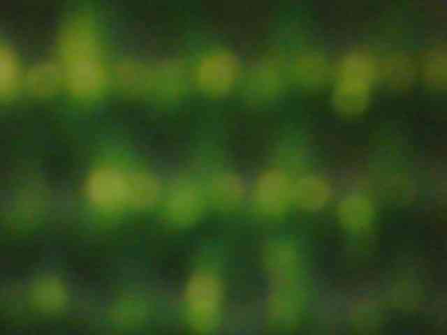 Zlaya_Mama_super webcam