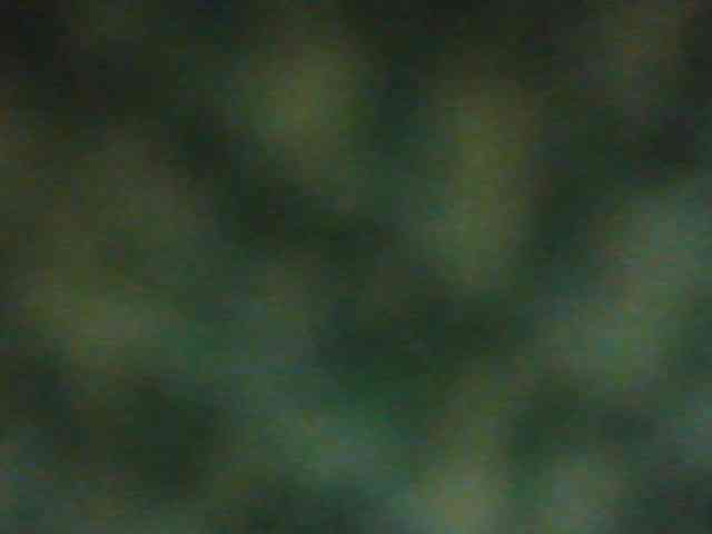Tvoya_Matematichka webcam