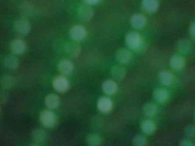 Tvoya_Matematichka webcam