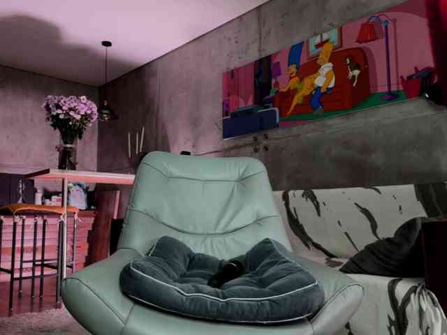 Na-izi webcam