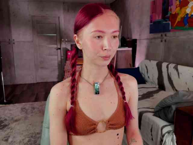 Na-izi webcam