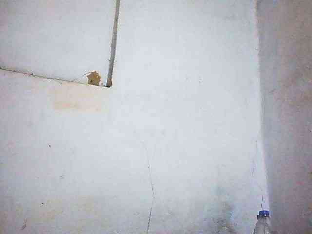 Honey699 webcam