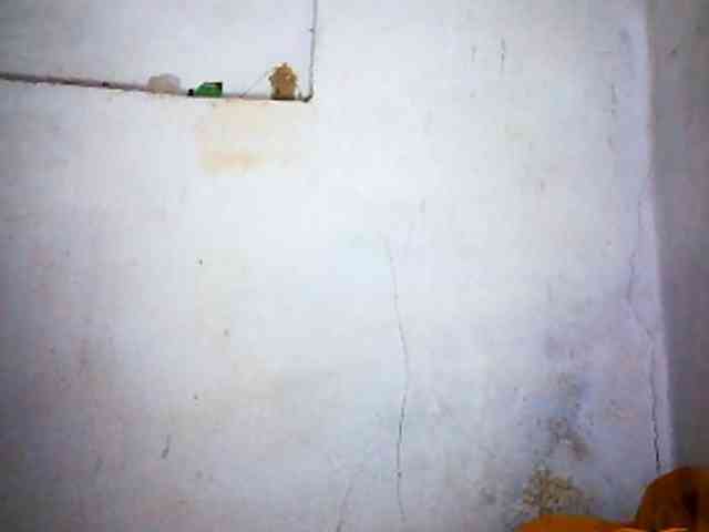 Honey699 webcam