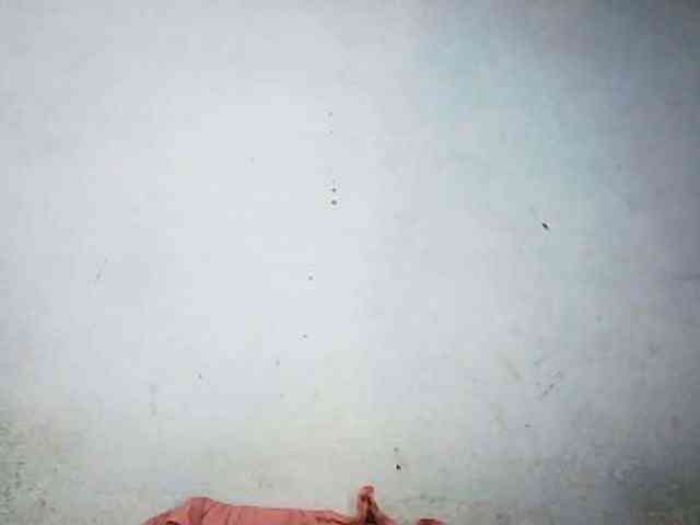 Honey699 webcam