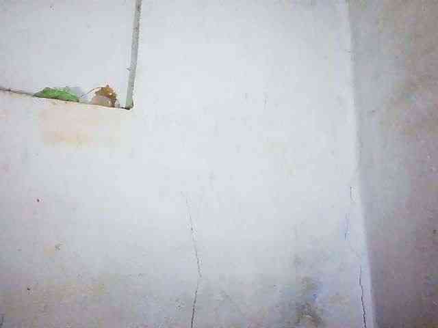 Honey699 webcam
