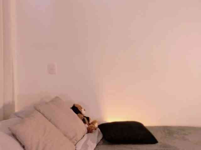 AnabelWolf Live Webcam on BongaCams