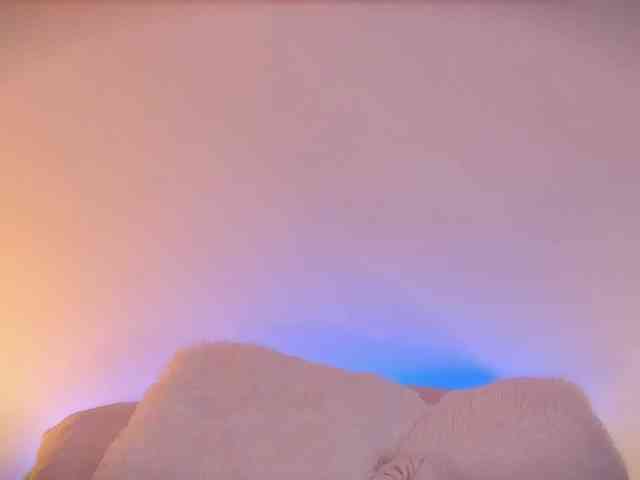 AnabelWolf webcam