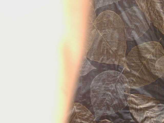 ladyvita21 live cam on BongaCams