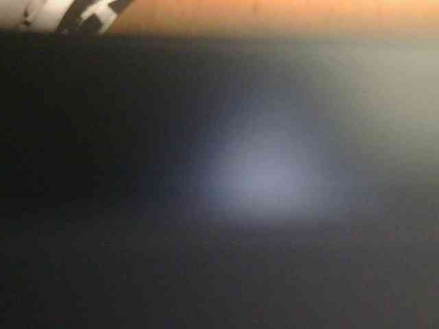 ladyvita21 webcam