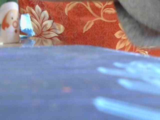 ladyvita21 webcam