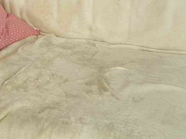 AnneBlueeyes webcam
