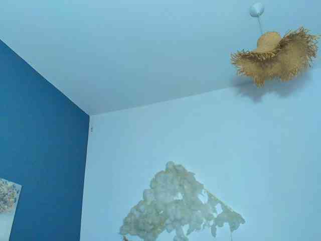 AnneBlueeyes