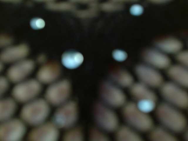 Hellen-star's BongaCams show and profile