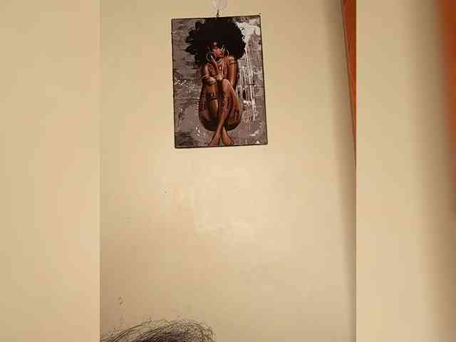 Delanxy webcam