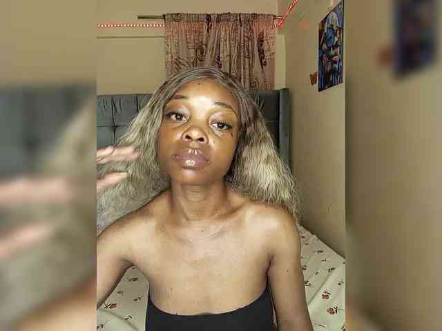 Delanxy webcam