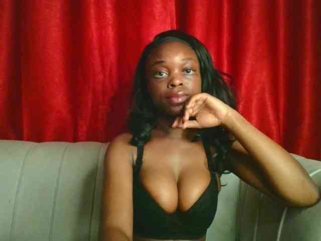Delanxy webcam
