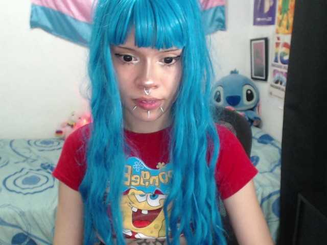 hachi-kitty