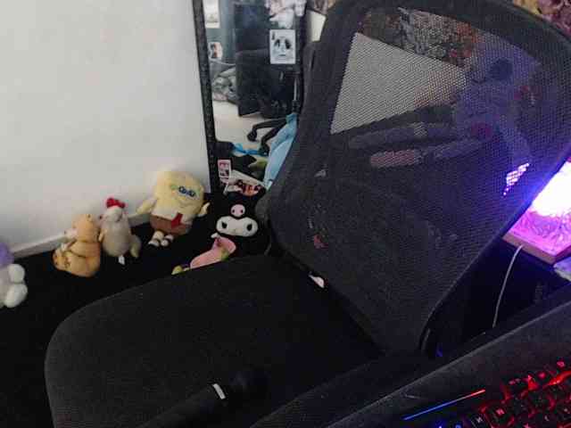 hachi-kitty webcam