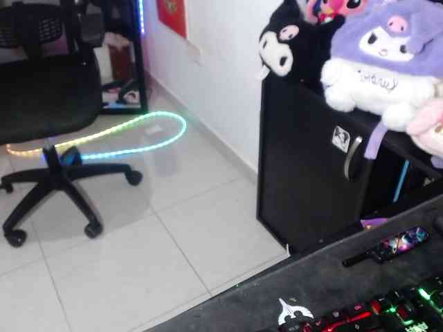 hachi-kitty webcam