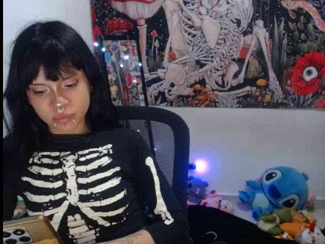 hachi-kitty webcam
