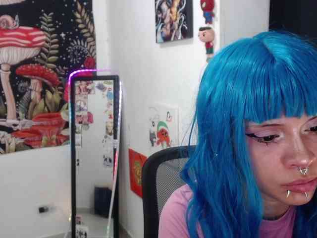 hachi-kitty webcam