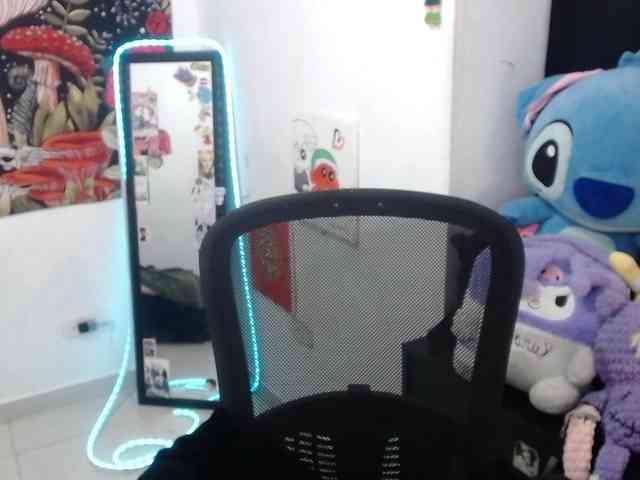 hachi-kitty webcam