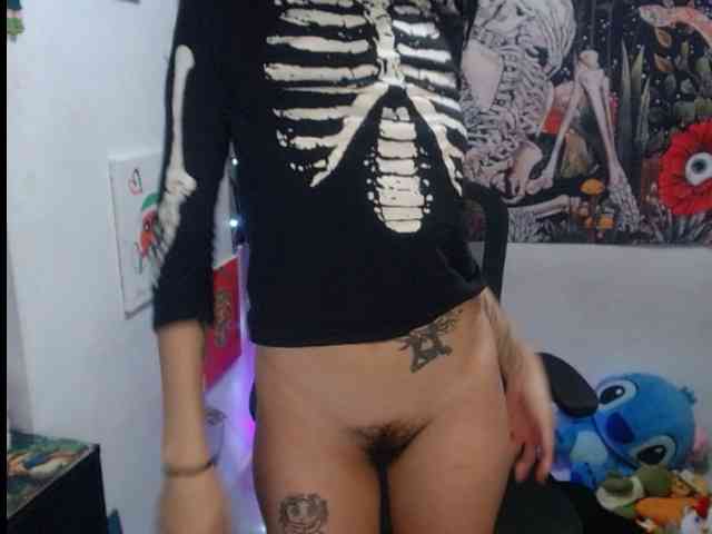 Modelo: hachi-kitty