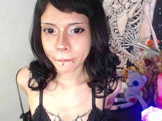 hachi-kitty webcam