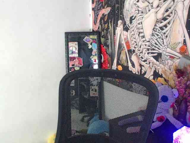 hachi-kitty webcam