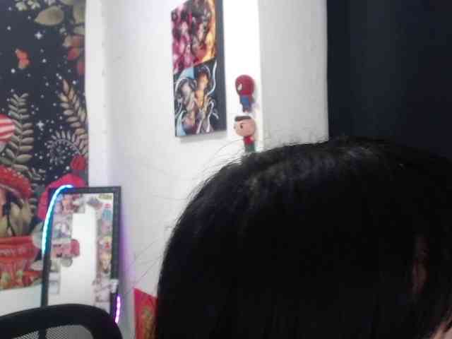 hachi-kitty webcam