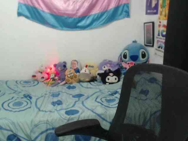 hachi-kitty webcam