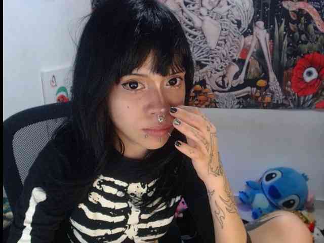 hachi-kitty webcam