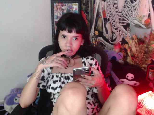 hachi-kitty