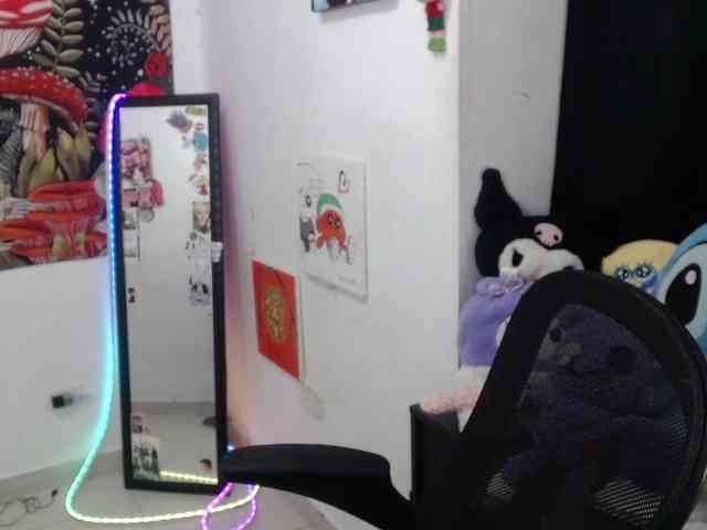 hachi-kitty webcam