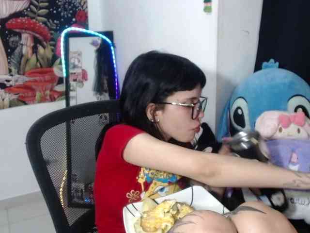 hachi-kitty webcam