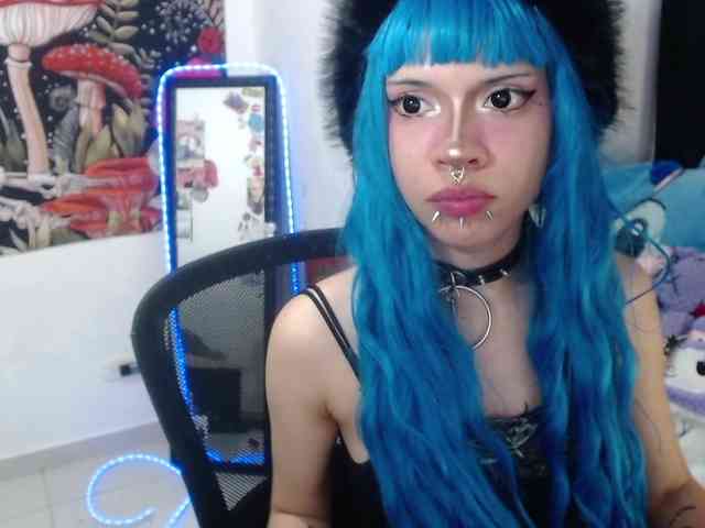 hachi-kitty