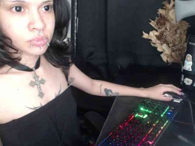 hachi-kitty webcam