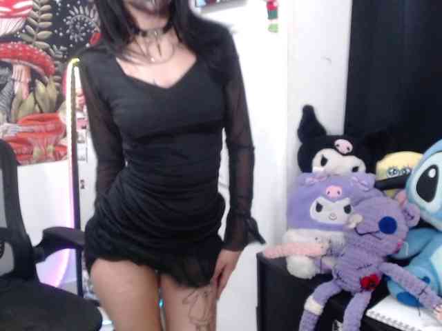 hachi-kitty webcam