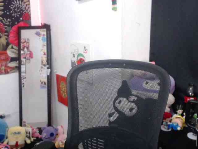 hachi-kitty webcam