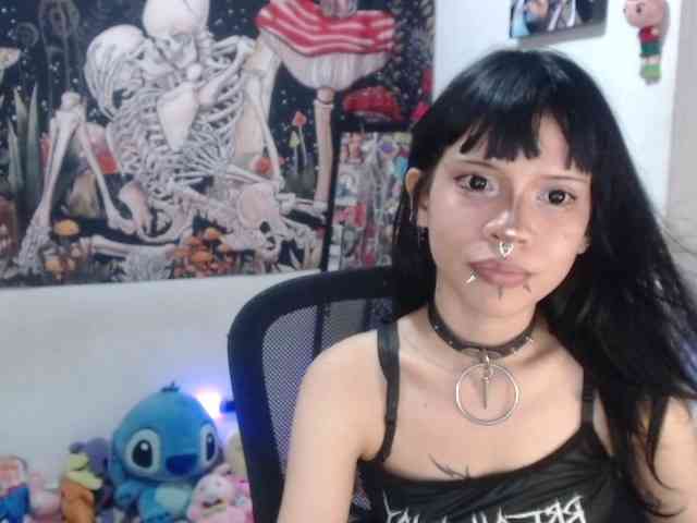 hachi-kitty webcam