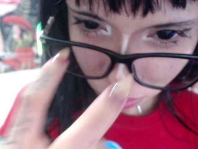 hachi-kitty webcam