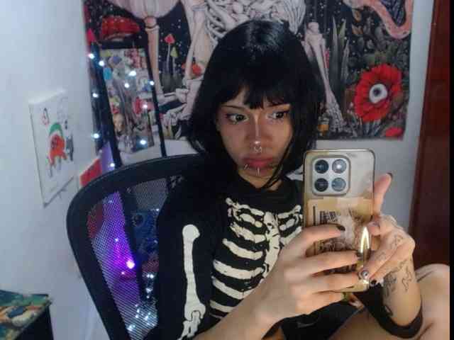 Modelo: hachi-kitty