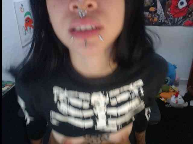 Modelo: hachi-kitty