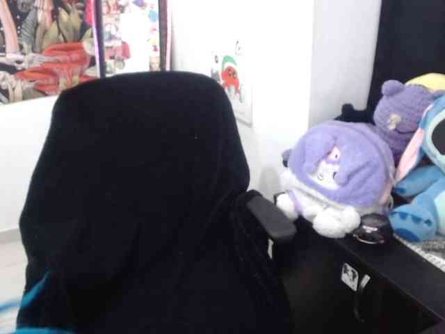 hachi-kitty webcam