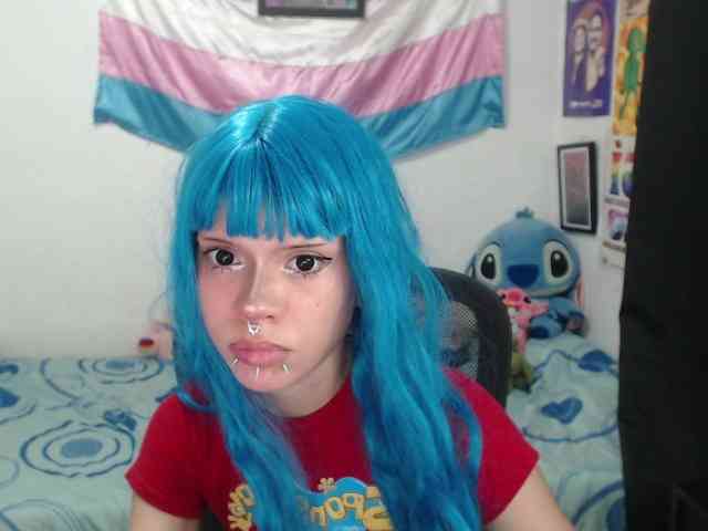 hachi-kitty webcam
