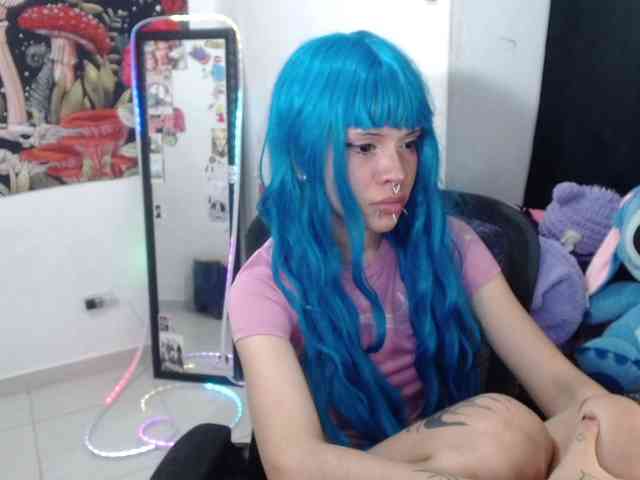 hachi-kitty webcam