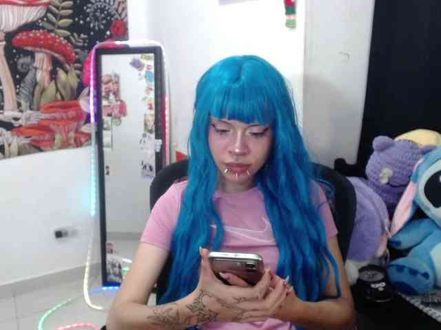 hachi-kitty webcam